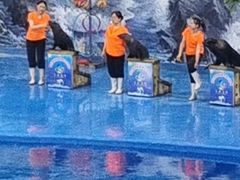 -多彩贵州城极地海洋世界