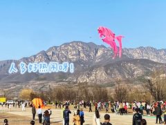 -禅宗少林·音乐大典