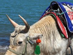 -青海湖国家重点风景名胜区