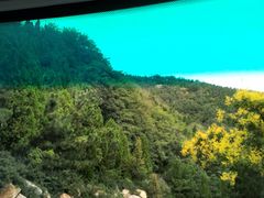 -龙口南山旅游景区