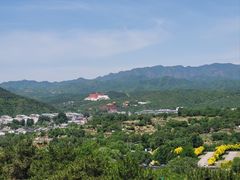 -普乐寺