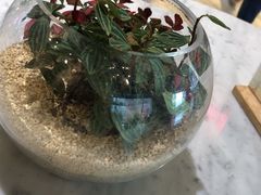 -宝珠奶酪(浦东金桥店)