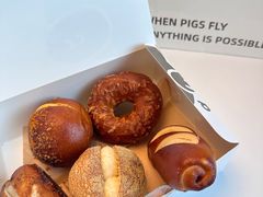 -WHEN PIGS FLY当猪飞