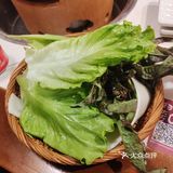 今日份羊肉煲来一锅