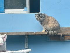 -青藏高原野生动物园