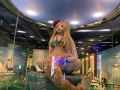 -成都泰迪熊博物馆