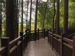 -东湖落雁景区