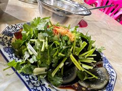 -霞姐屯昌枫木香草鸭店(海螺店)