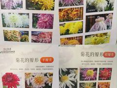 -杭州植物园
