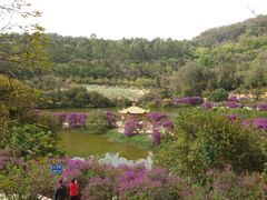 -南国桃园旅游度假区