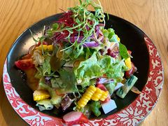 蔬菜沙拉-Hatsune隐泉日式料理(三里屯太古里店)
