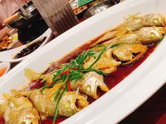 -舌尖上·霞浦滩涂海鲜·新闽菜(总店)