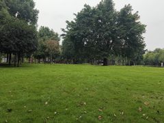 -眉山湿地公园(东坡区)