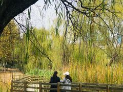 -滨湖塘西河公园
