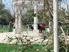 -合肥滨湖国家森林公园