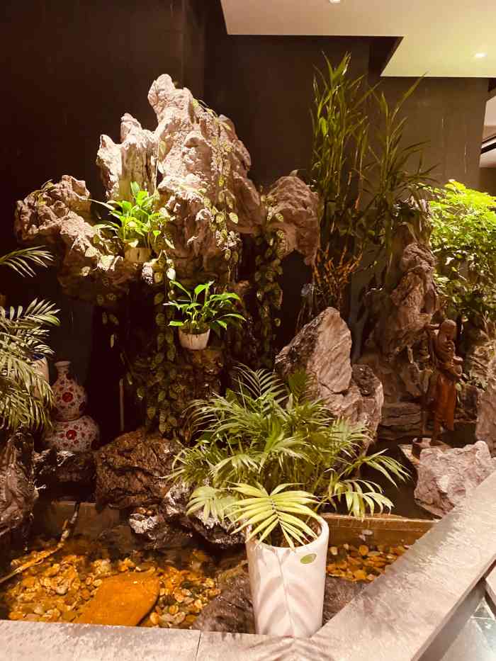 宋园茶艺馆-"再大宁吃好饭大家一致决定喝点茶休息会就搜..."-大众点