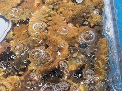 -徐记海鲜(大雁塔|金都店)