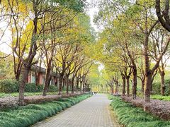 -上海海湾国家森林公园