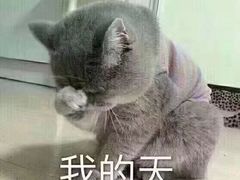 -百花深处·老北京风味菜