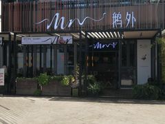 -MR鹅外