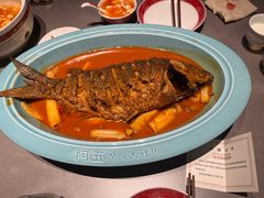 -阿五黄河大鲤鱼(建业路店)