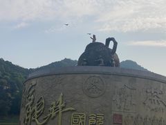 -龙坞茶村