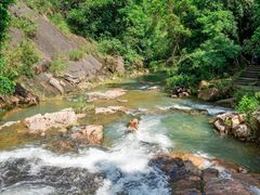 -广州白江湖森林公园