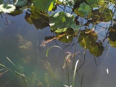 -香山公园-东宫门售票处