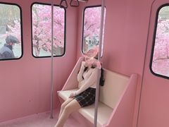 -金茂览秀城