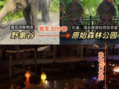 -西双版纳傣族园