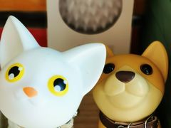 -凯特喵百思猫专科医院