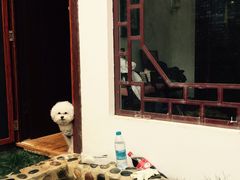 -大理地热国