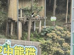 -广州长隆野生动物世界