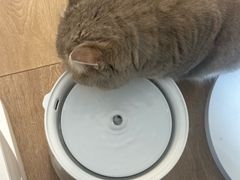 -瑞鹏宠物医院·普外科·影像科·皮肤科(城市山谷分院)