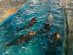 -横店影视城梦幻谷园区