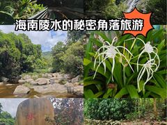 -海南热带雨林国家公园吊罗山景区