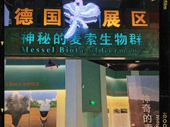 -辽宁古生物博物馆
