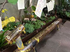-橡皮书店(翠湖北路店)