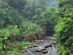 -梧桐山风景名胜区