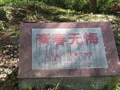 -西双版纳傣族园
