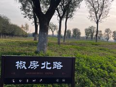 -汉长安城未央宫国家考古遗址公园