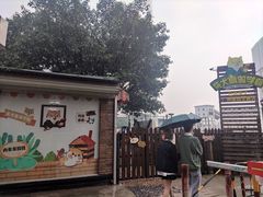 -柴犬高等学院·狗咖·柴犬售卖·宠物训练