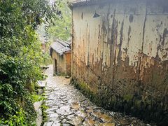 -杨家堂村