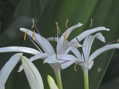 -北京植物园-展览温室