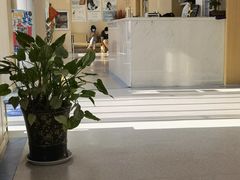 -喜多萌中农锦绣动物医院24H·猫科·牙科MRI·CT