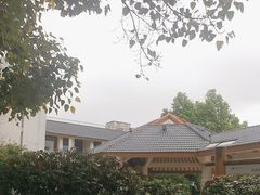 -鲤鱼洲酒店港鲤咖啡厅