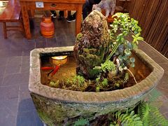 -三道苗苗鱼·美蛙黄辣丁(八里店)