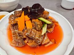 -燕春楼(海河华鼎店)