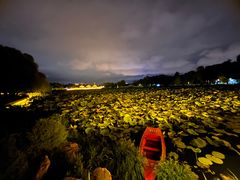 -长春市南湖公园