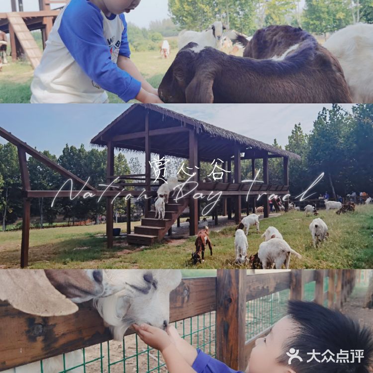 实用tips：江宁美丽乡村